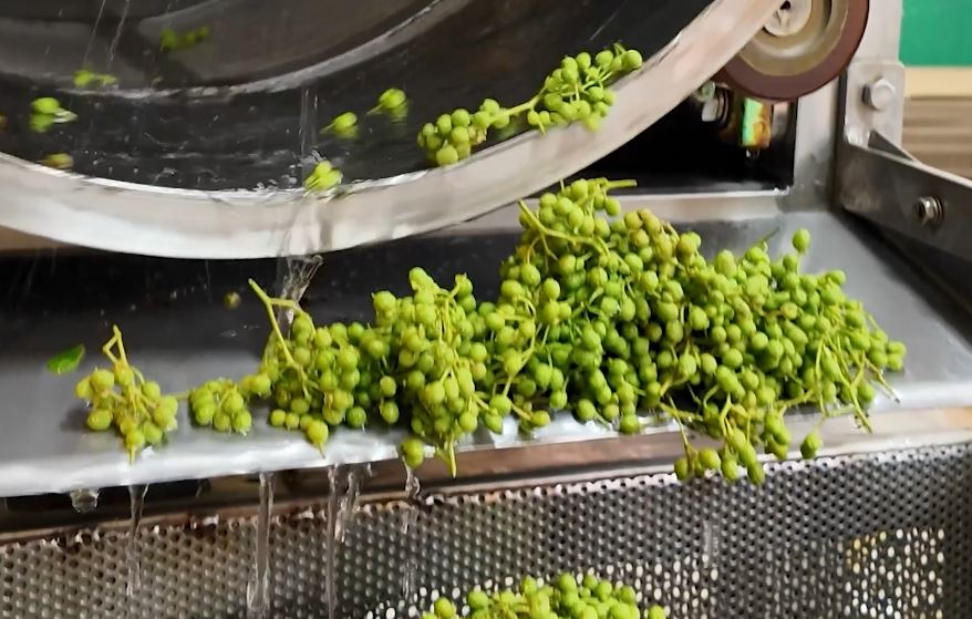 Baies séchées de Budo Sansho